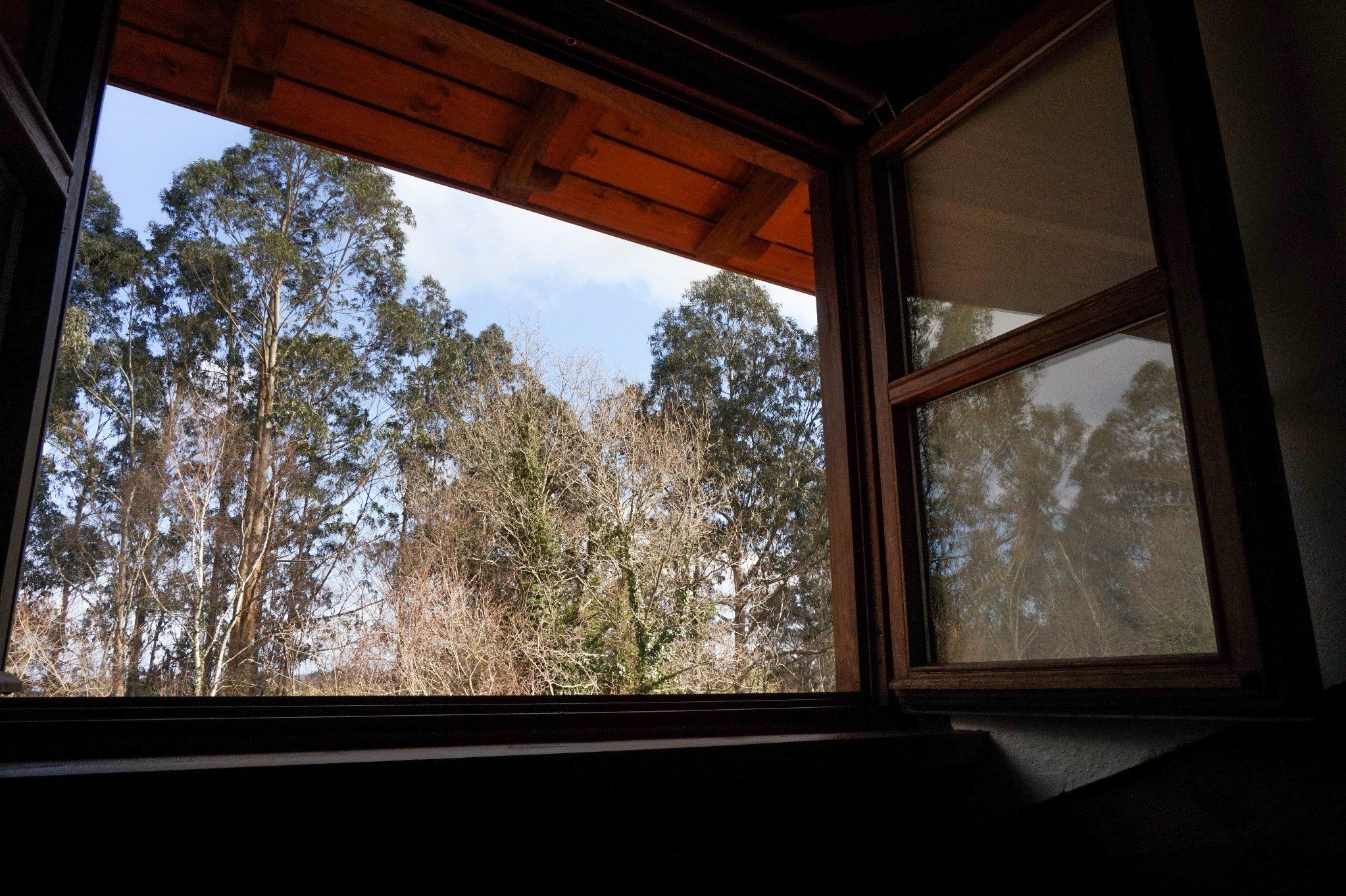 La casa del bosque I